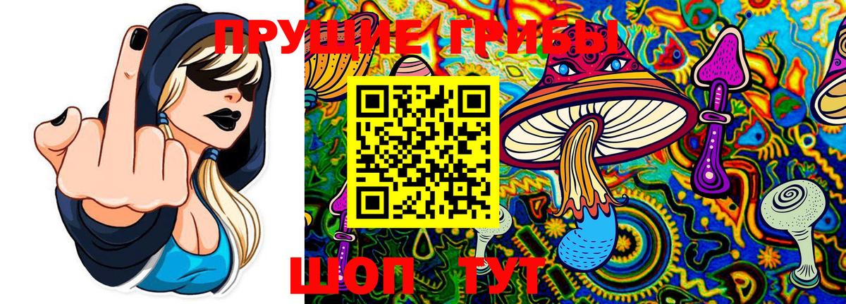 Галлюциногенные грибы Cubensis  Вход с VPN  Мурино 