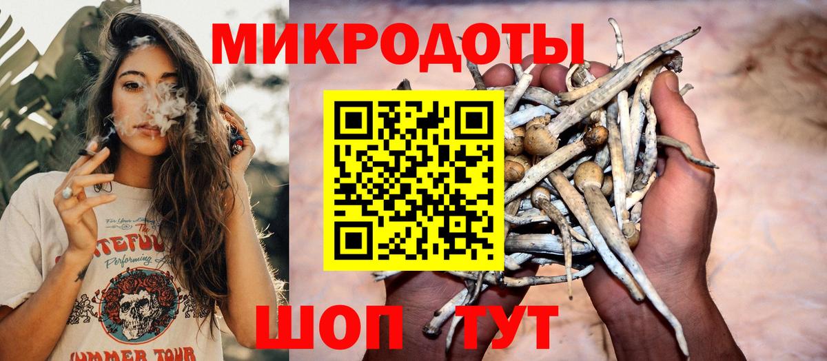 Псилоцибиновые грибы мицелий Мурино