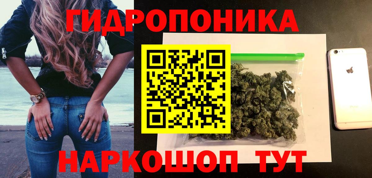 Конопля индика  Каннабис Bruce Banner  Мурино  Вход с VPN  Конопля Bruce Banner  МАРИХУАНА индика 